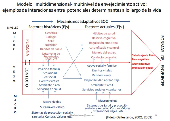neurorrehabilitación y fisioterapia a domicilio en Madrid, fisioterapia cerca de mi, precio sesión terapia ocupacional